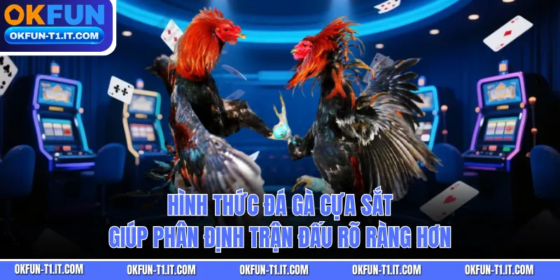 Hình thức đá gà cựa sắt giúp phân định trận đấu rõ ràng hơn